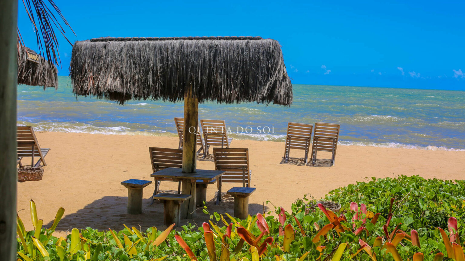 » Praia de Santo André conheça as maravilhas deste local tranquilo e deserto » Praia de Santo André conheça as maravilhas deste local tranquilo e deserto